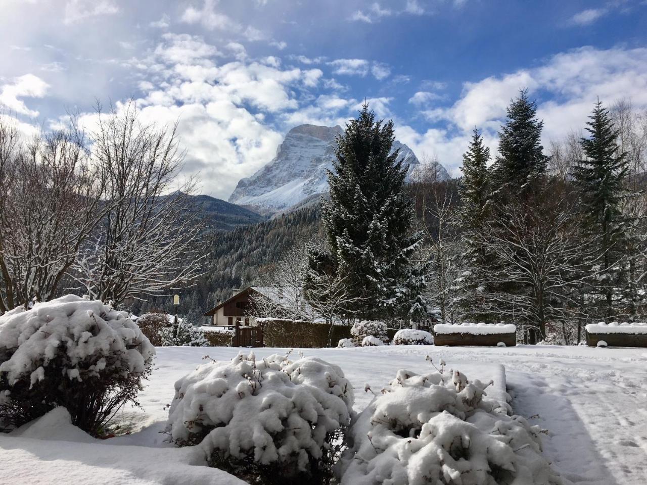 Parkhotel Ladinia San Vito di Cadore Εξωτερικό φωτογραφία